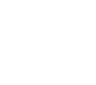 Sydney Solar